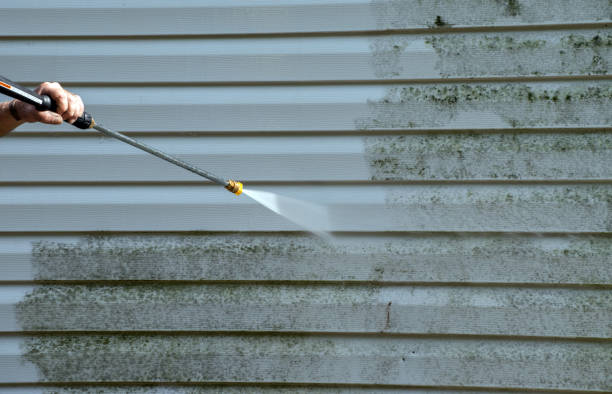 Best Toxic Mold Removal  in Sitka, AK