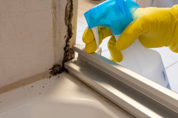 Best Mold Cleaning Services  in Sitka, AK