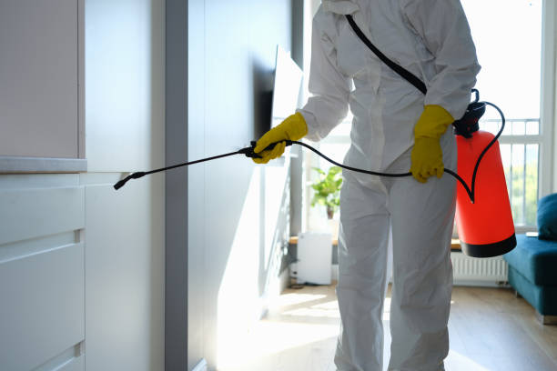 Best Office Mold Removal Services  in Sitka, AK
