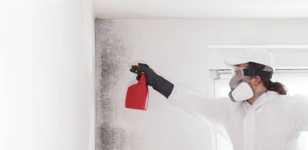 Best Certified Mold Removal  in Sitka, AK