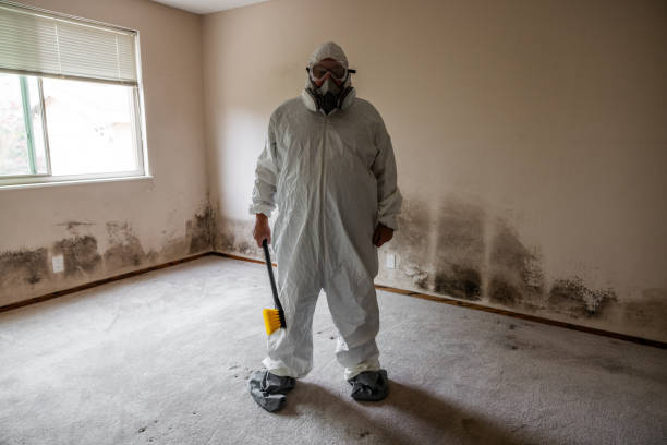 Best Residential Mold Removal  in Sitka, AK