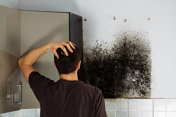 Best Mold Testing  in Sitka, AK